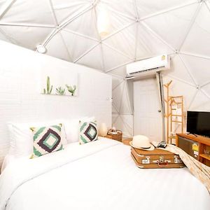 Dome King Room